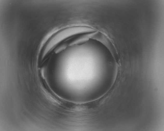 X0000082990248200702011436