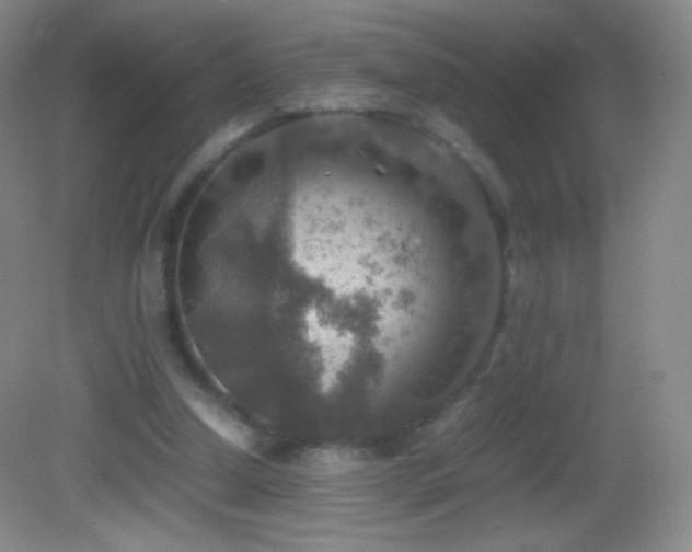 X0000082990250200702011436