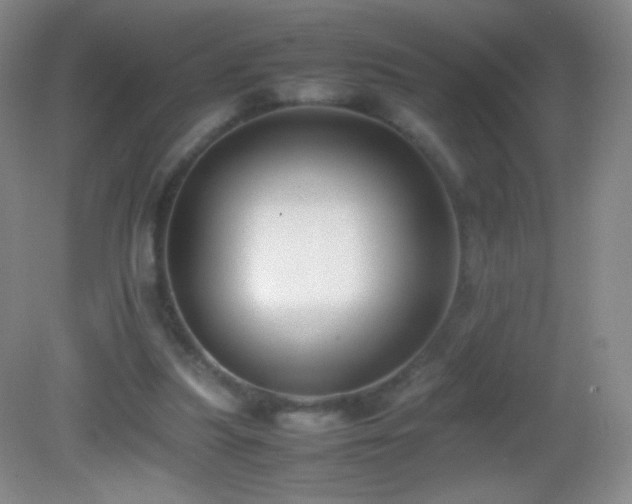 X0000082990251200702011436