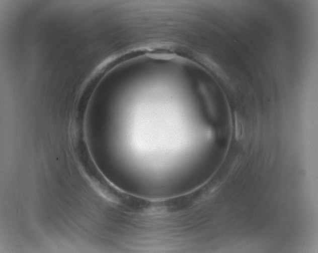 X0000082990252200702011436