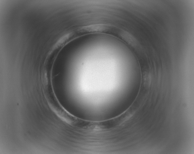 X0000082990254200702011436