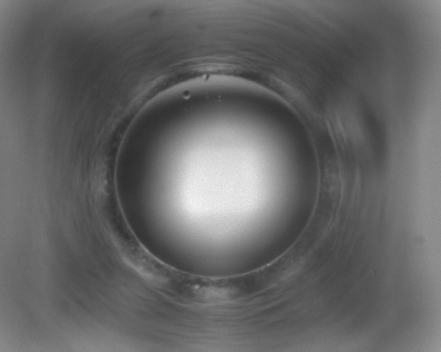 X0000082990255200702011436