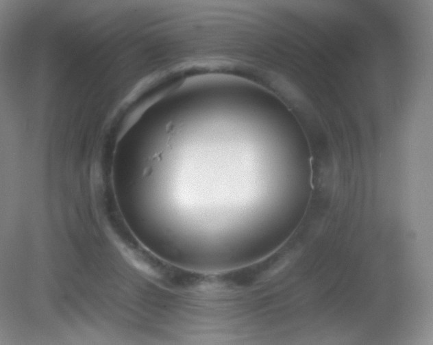 X0000082990256200702011436