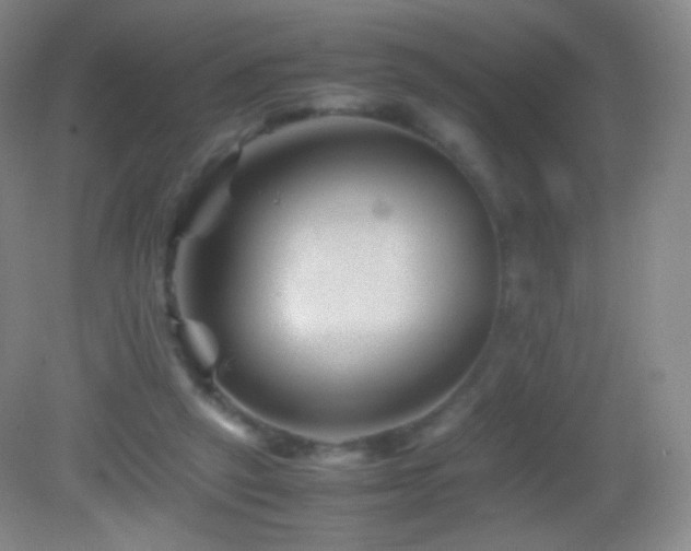 X0000082990257200702011436