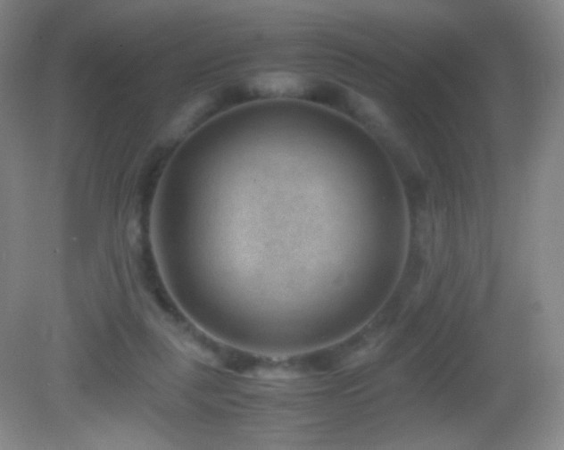 X0000082990259200702011436