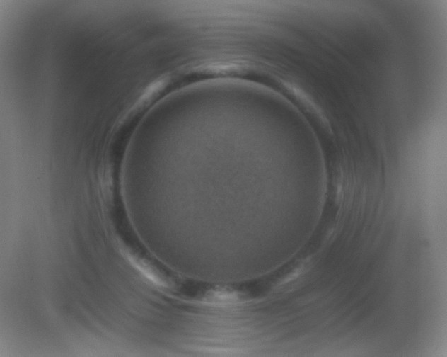 X0000082990260200702011436