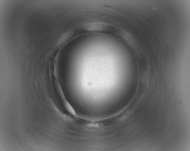 X0000082990261200702011436