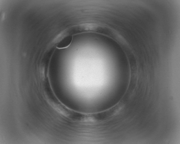 X0000082990262200702011436