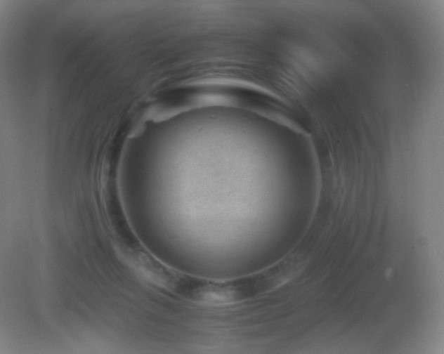 X0000082990263200702011436