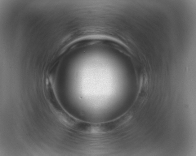 X0000082990264200702011436