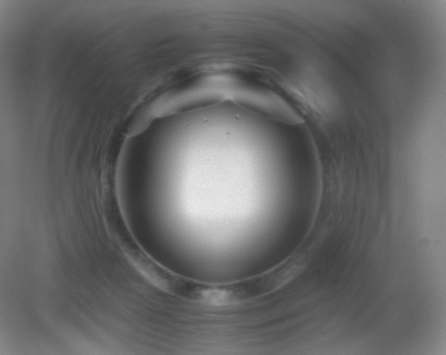 X0000082990265200702011436