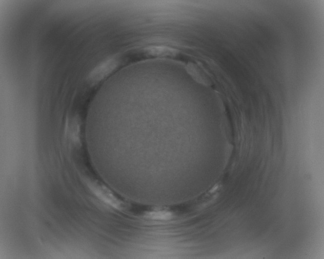 X0000082990266200702011436