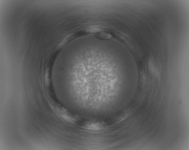 X0000082990267200702011436