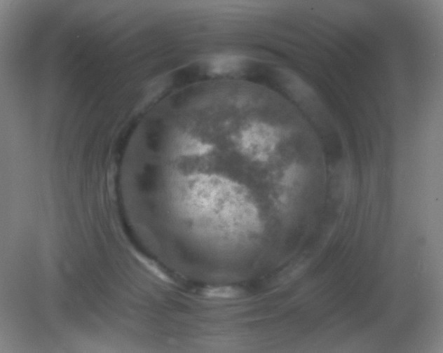 X0000082990269200702011436