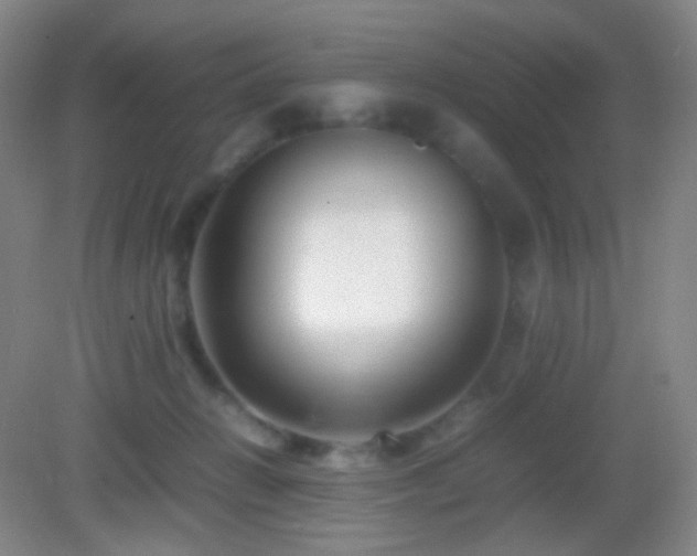 X0000082990270200702011437