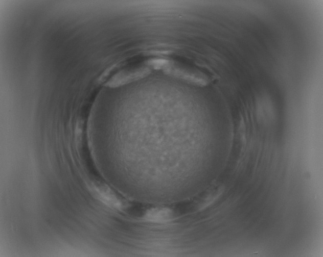 X0000082990271200702011437