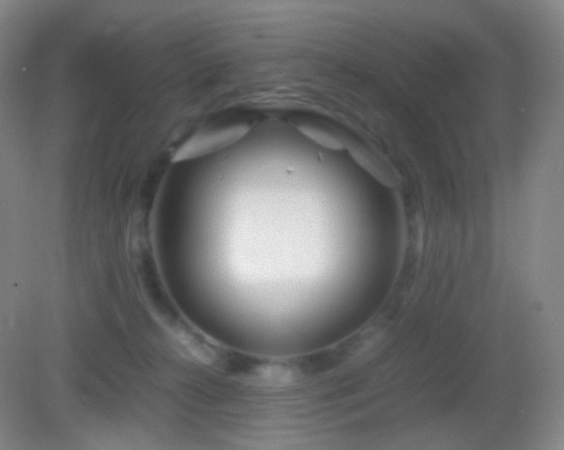 X0000082990272200702011437