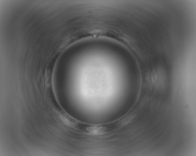 X0000082990273200702011437