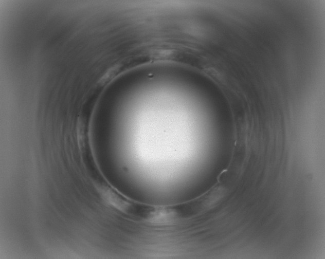 X0000082990274200702011437