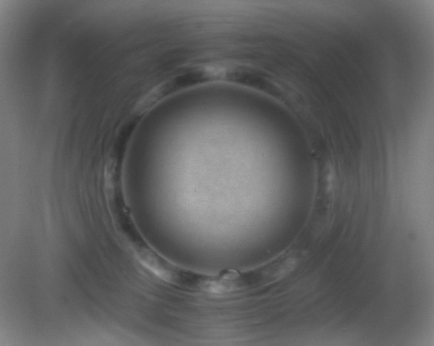 X0000082990275200702011437