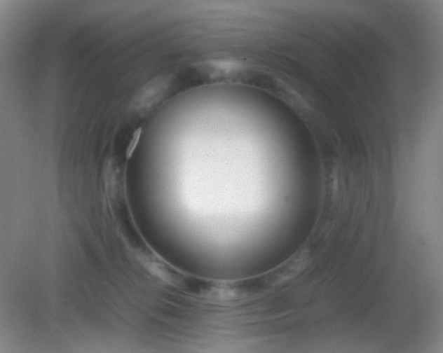 X0000082990276200702011437