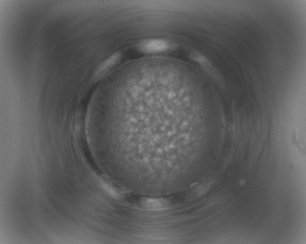 X0000082990277200702011437