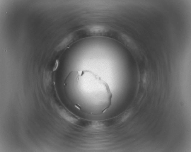 X0000082990278200702011437