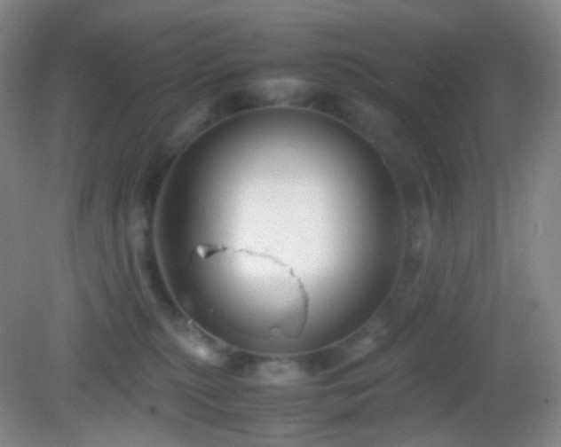 X0000082990279200702011437