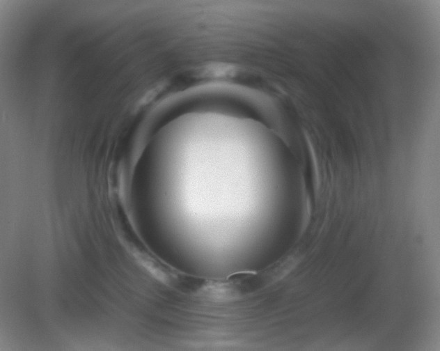 X0000082990280200702011437