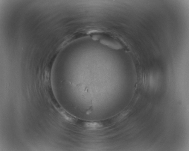 X0000082990281200702011437