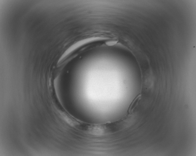 X0000082990282200702011437