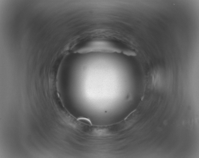 X0000082990283200702011437