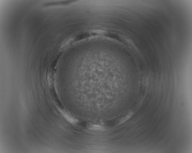 X0000082990285200702011437