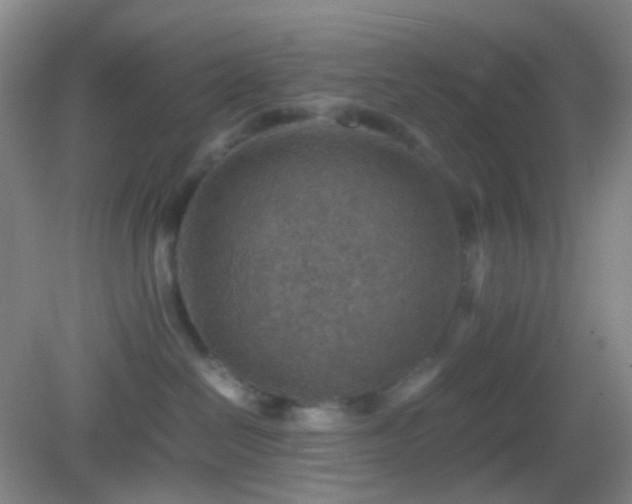 X0000082990286200702011437