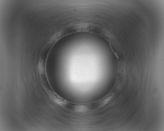 X0000082990287200702011437