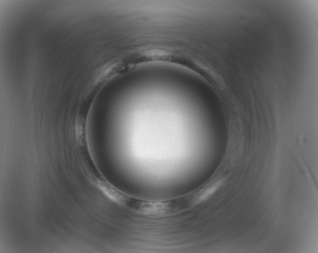 X0000082990288200702011437