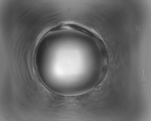 X0000082990289200702011436