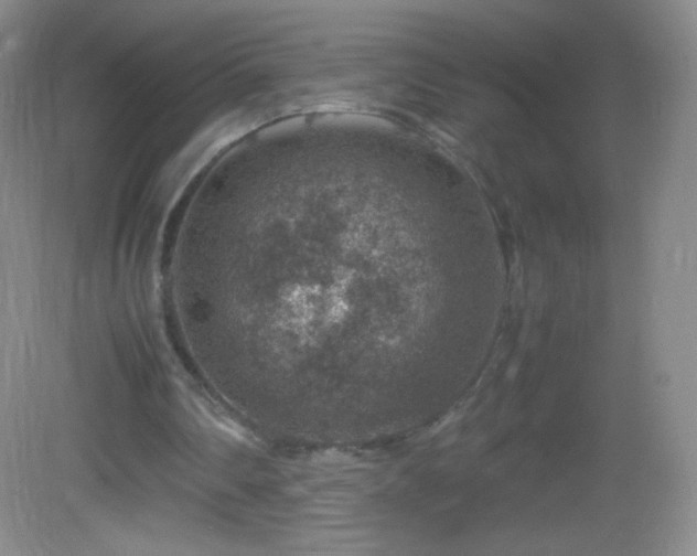 X0000082990290200702011436