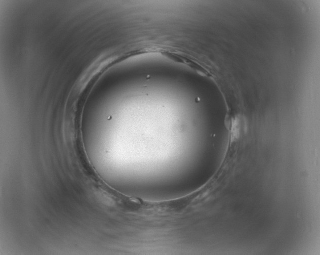 X0000082990291200702011436