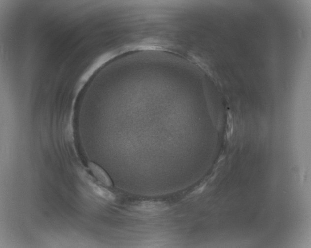 X0000082990292200702011436