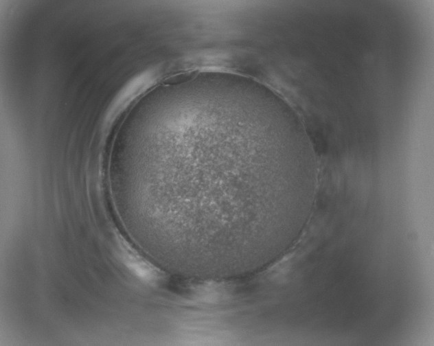 X0000082990293200702011436