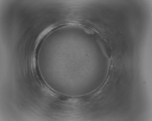 X0000082990294200702011436