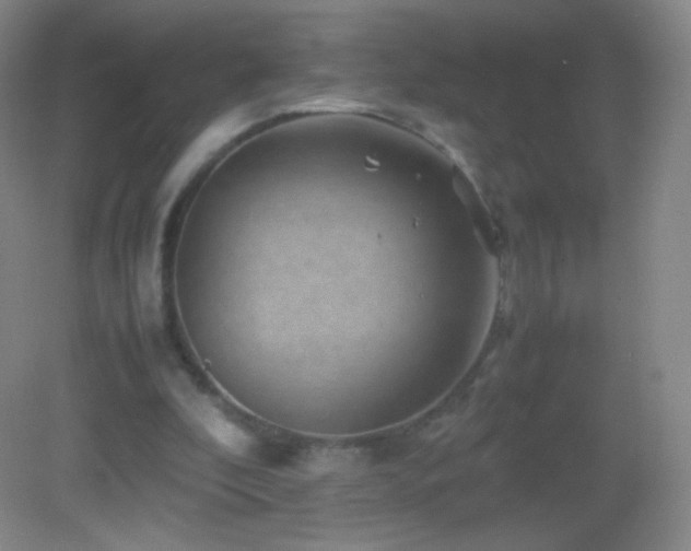 X0000082990296200702011436