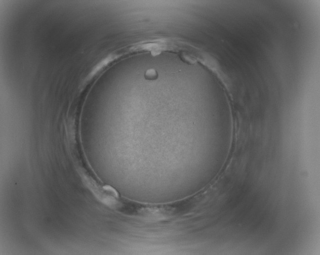 X0000082990297200702011436