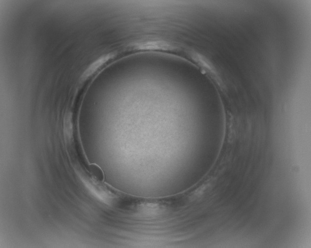 X0000082990298200702011436