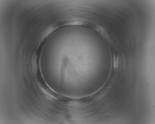 X0000082990300200702011436