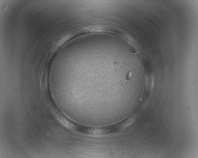 X0000082990301200702011436