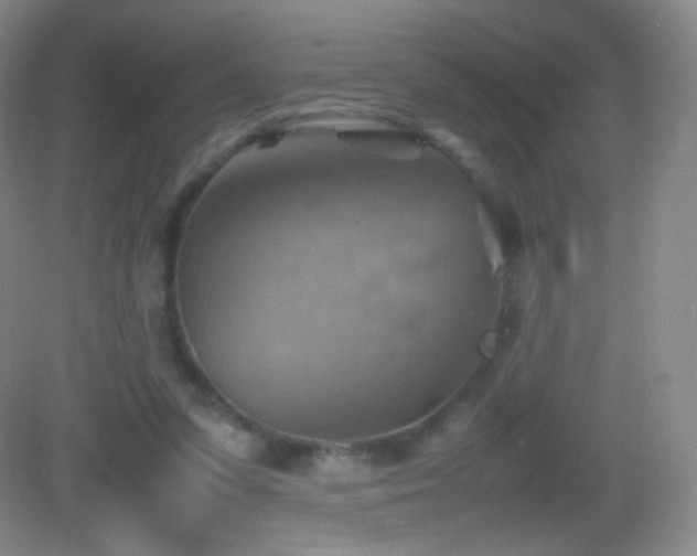 X0000082990303200702011436