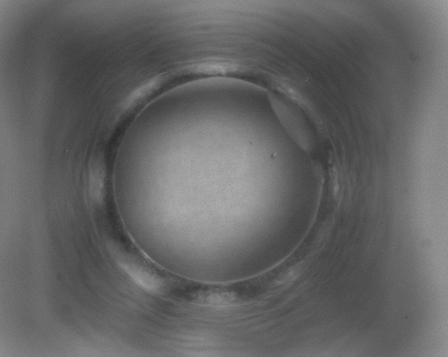 X0000082990304200702011436