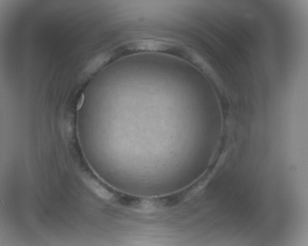 X0000082990305200702011436